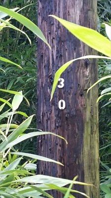 3rd image of Road 11 Pulelehua Lot 6056