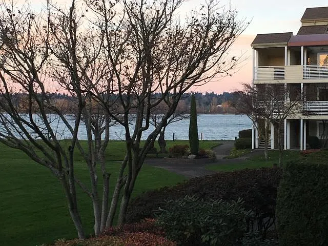 View from Deck