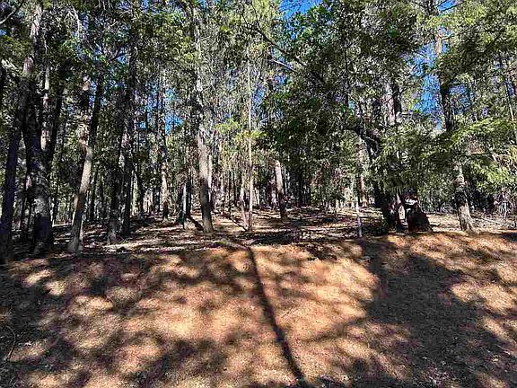 2nd image of 13417 Patterson Creek Rd