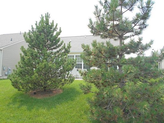 3rd image of 13280 Red Alder Ave