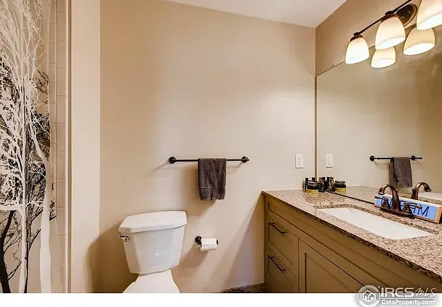 Second bathroom/guest bathroom