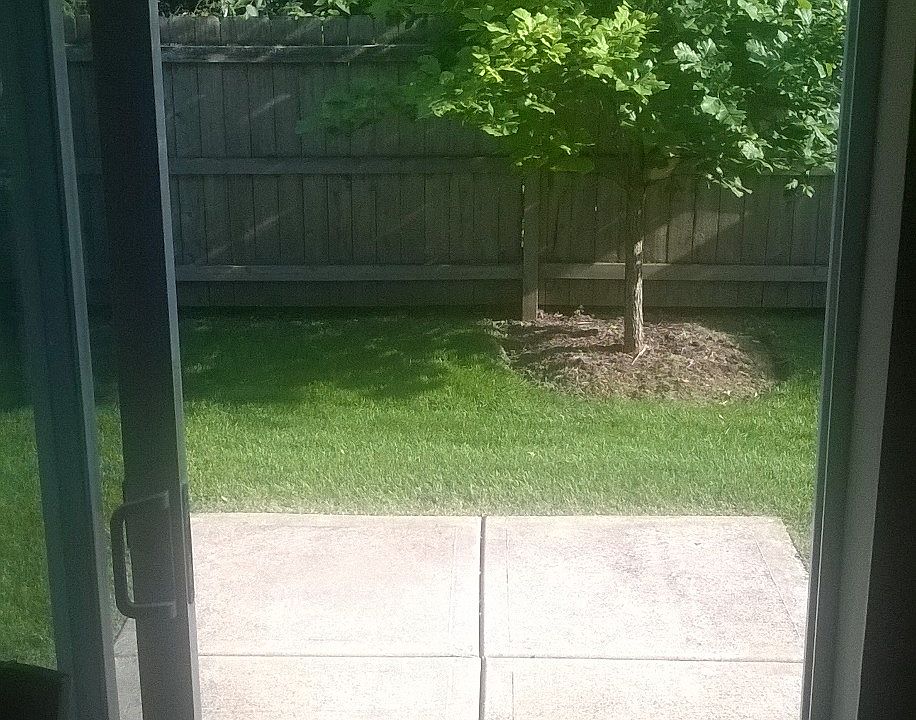 Fenced backyard 