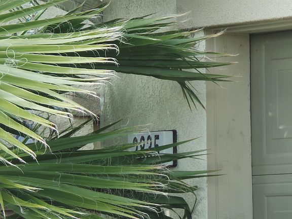 2nd image of 2835 Hayden Brook Dr