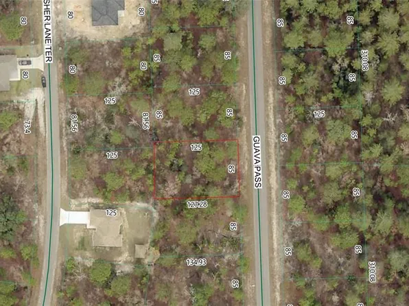 Guava Pass Lot 10, Ocklawaha, FL 32179