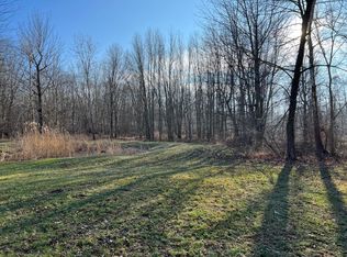 141 E Nettleman Rd, Coldwater, MI 49036