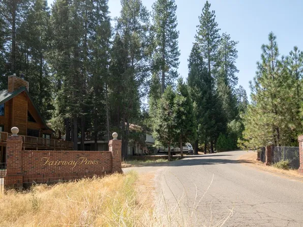 26131 Golf Links Dr, Pioneer, CA 95666