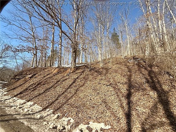 4th image of 0 Newark Rd