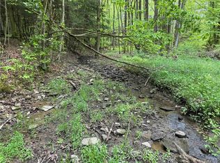 3948 Tamarack Ridge Rd, Franklinville, NY 14737