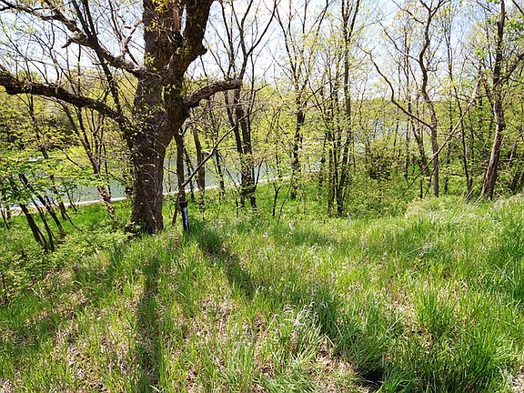 Lot for Sale
