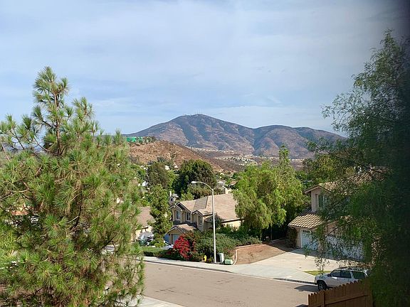 View from master bedroom/back yard