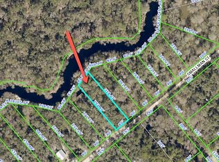 33053 Smallman St, Webster, FL 33597