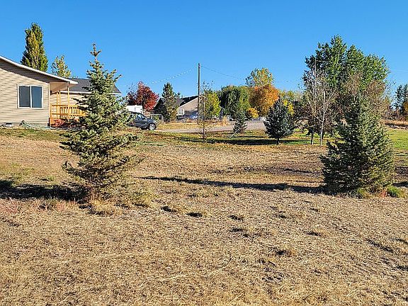 View North from South fence