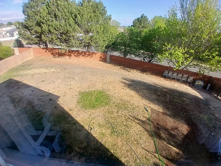 7996 Shamrock Cir — Photo 16