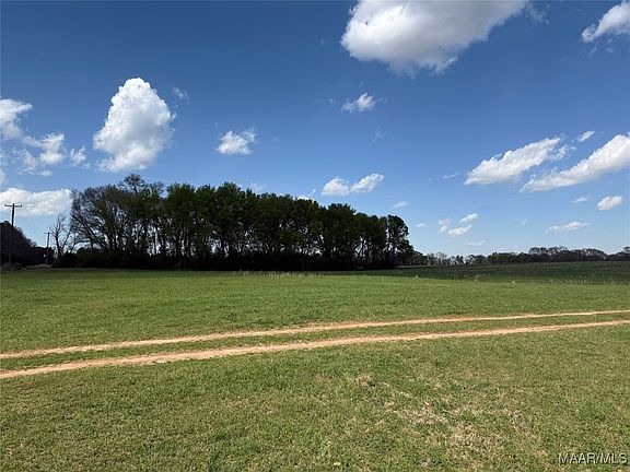 5th image of 1 County Road 81