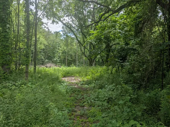 43 M, Bangor, MI 49013