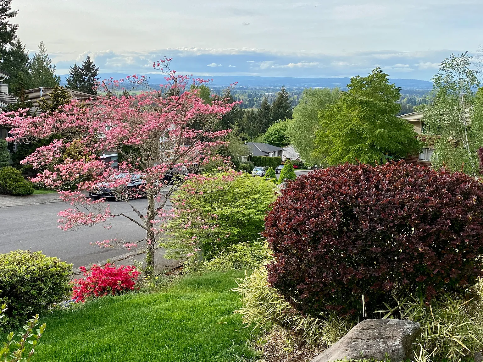 4 bed, 2.5 bath, 2617 sqft, $3,450 — Photo 4