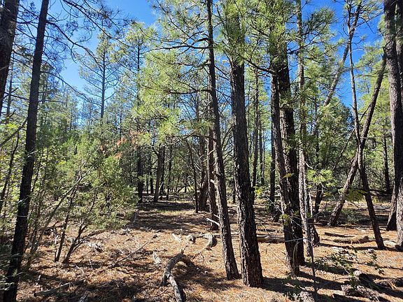 3rd image of N Blue Grass Ranch Dr