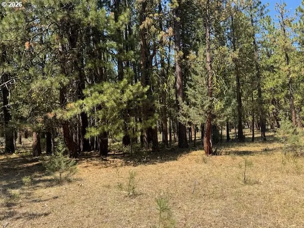 Whitetail Ln Lot 3, Bonanza, OR 97623