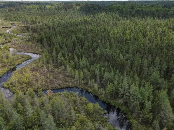 Off Hwy #51-438, Hazelhurst, WI 54531