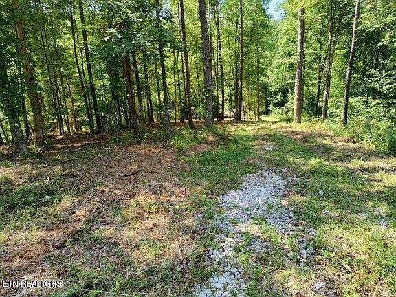2nd image of 488 Ashe Cabin Hollow Rd