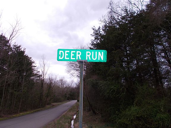 5th image of 5 Deer Run