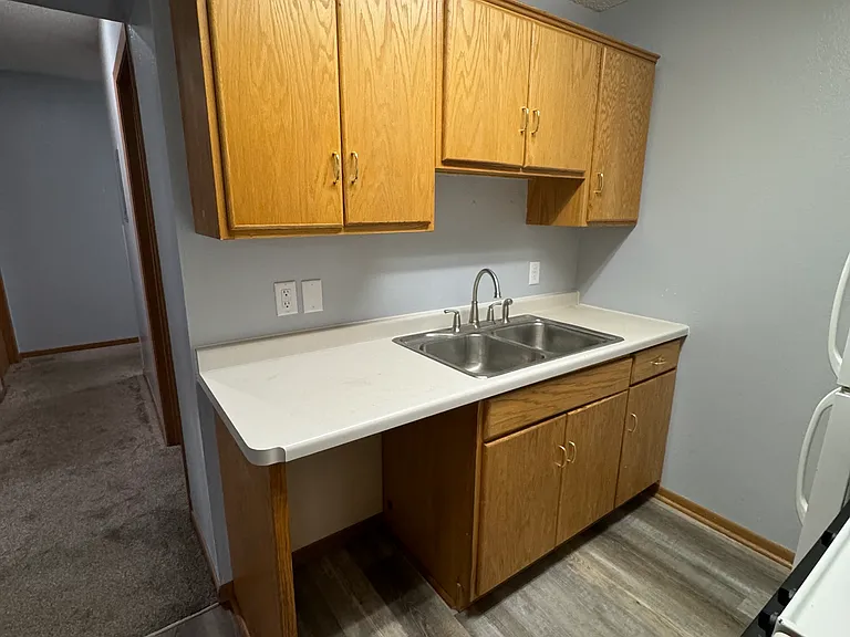 509 1/2 Sinclair Lewis Ave #1 — Photo 10