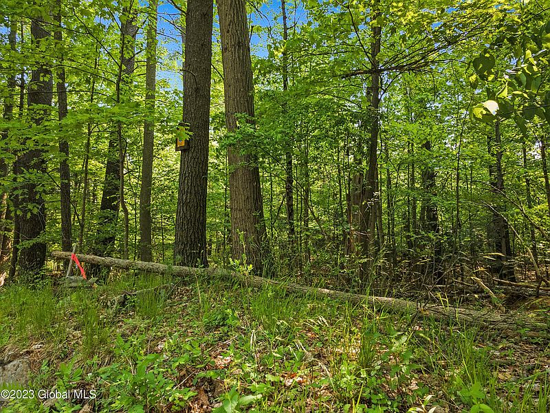 3rd image of 1732 Pilot Knob Road