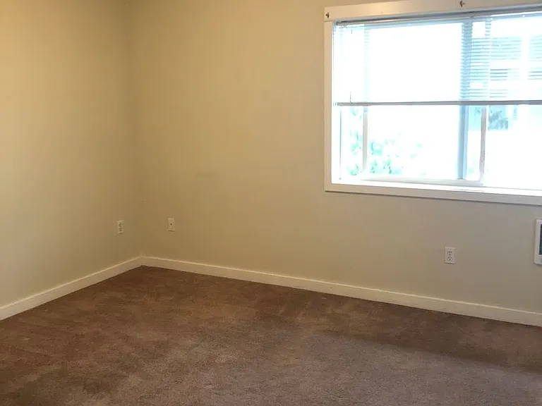 18rosa — Photo 11
