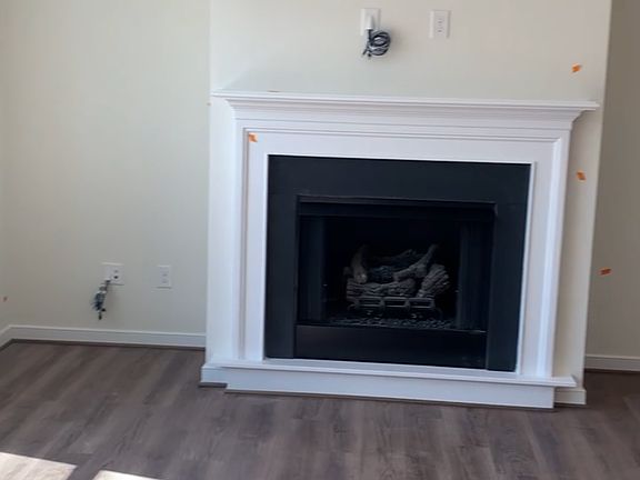 living room/ fireplace