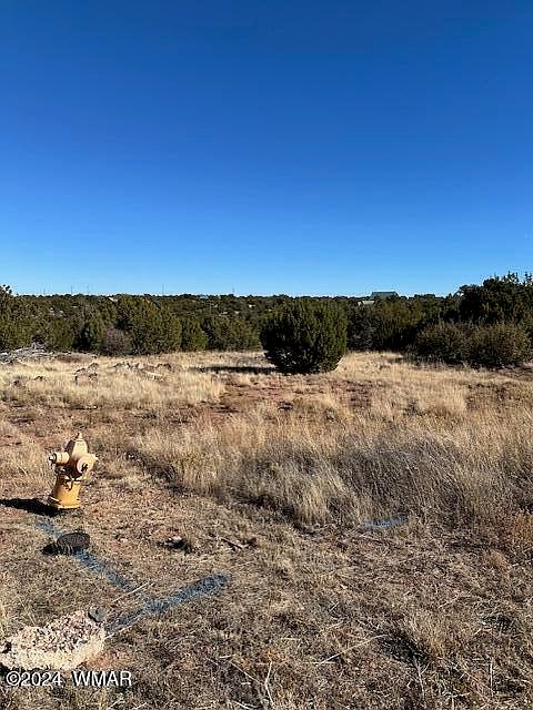 2nd image of 8420 Silver Creek Dr