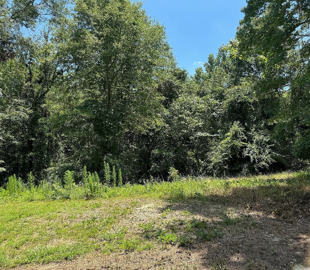 0 Huddleston Rd, Sandersville, MS 39477 MLS 138739 Zillow