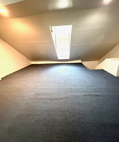225 Carpenter St — Photo 19