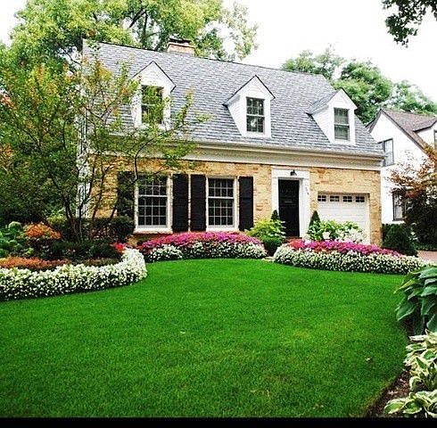 Blooming flowers