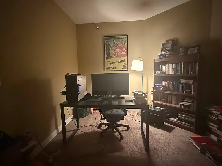 4110 S Lake Dr #336 — Photo 9