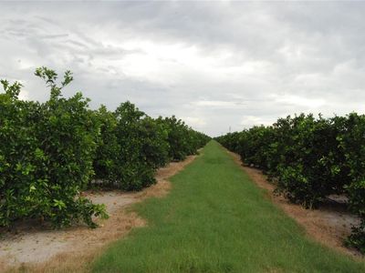 NE Highway 70 #3-21-50, Arcadia, FL, 34266