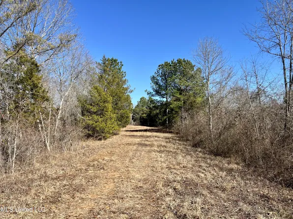 0 Cheatwood Rd, Ashland, MS 38603