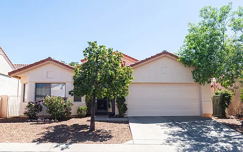 11146 N Desert Flower Dr Photo 1
