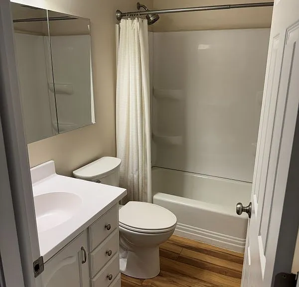 Hall bathroom