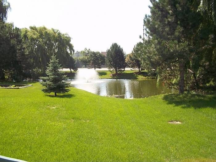 pond