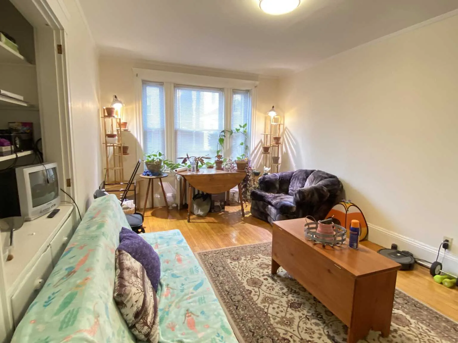 3 bed, $3,700 — Photo 3