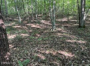 Bull Run Rd, Luttrell, TN 37779