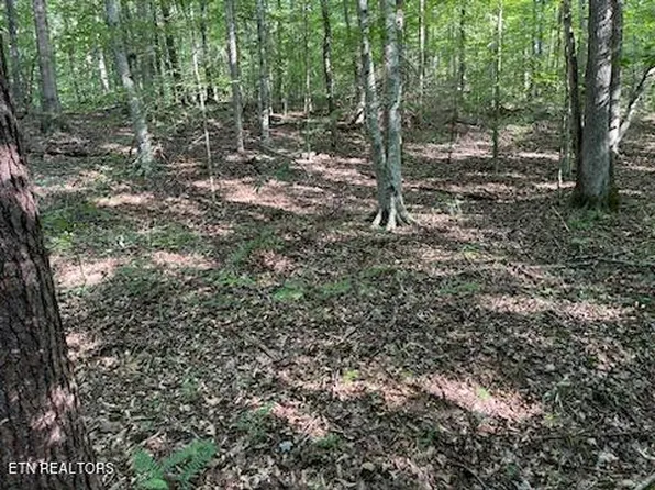 Bull Run Rd, Luttrell, TN 37779
