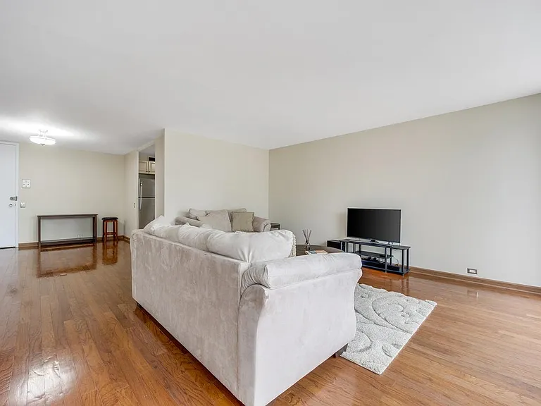 900 N Lake Shore Dr #2306 — Photo 7