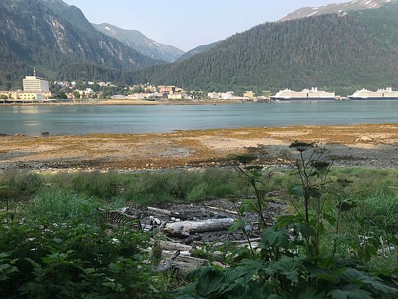 View from our beach toward downtown and the Perseverance Trail between Mt. Juneau and Mt. Roberts.