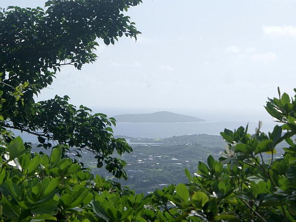 Views of Buck Island