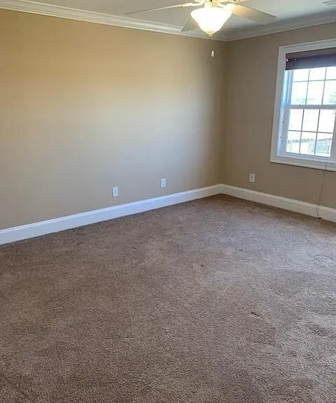 1113 Abby Dr — Photo 23