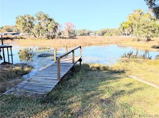 3990 N Bluewater Dr, Hernando, FL 34442