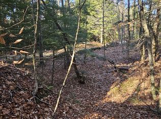 LOT 44.01 Coach Rd, Bristol, NH 03222