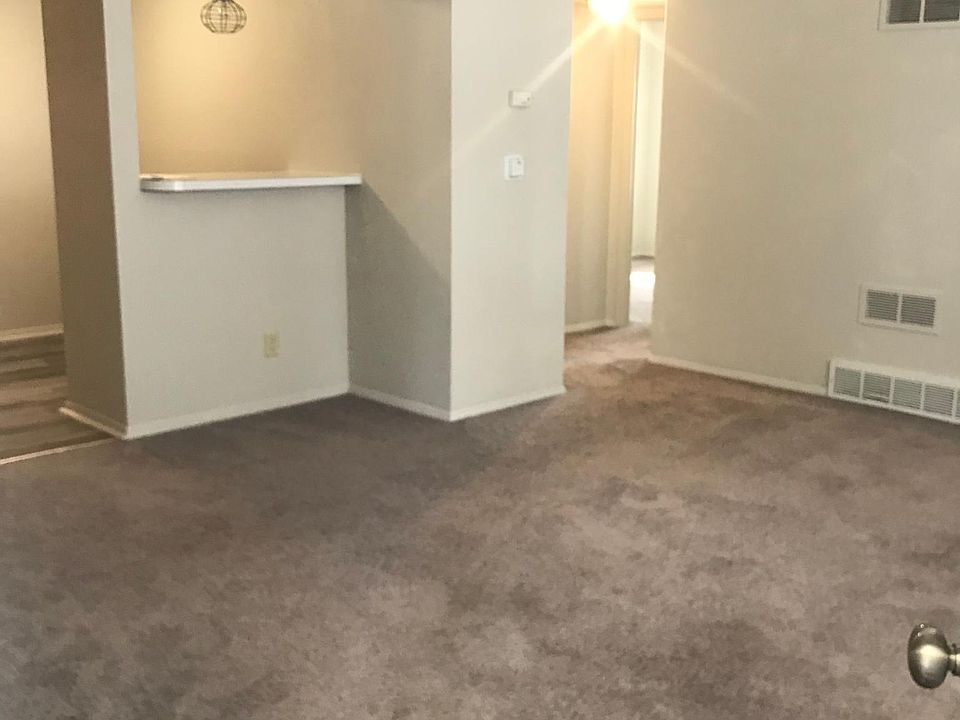 New Grey Carpet
