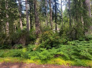 11803 112th Ave, Anderson Island, WA 98303